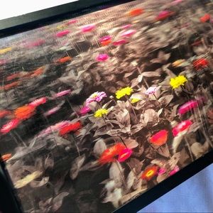 3D wild flower picture in frame